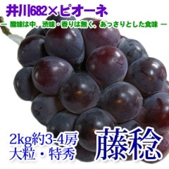 ƣ̭ ��2kg 3-4˼ �ý� ��γ�Ǥ��ä��ꤷ�Ƥ��ޤ�