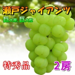 ���ͥ��㥤����� 2˼ �ý� ��˼��γ�Τ֤ɤ��Ǥ�