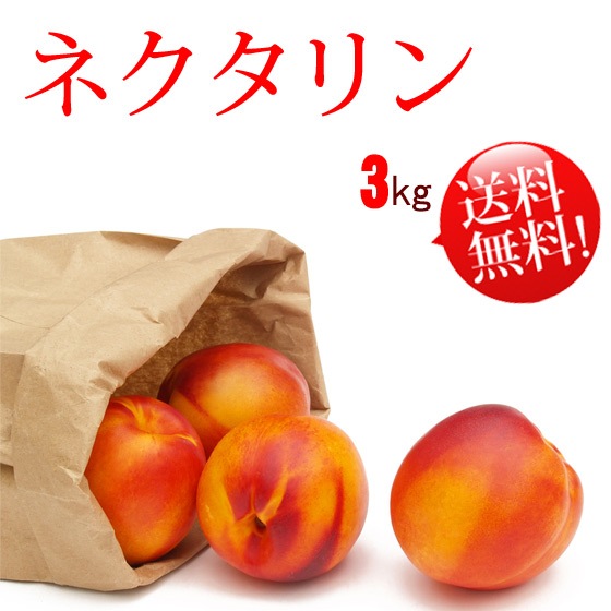 happysadネクタリン　3キロ　クール便 くだもの屋co.jp ネクタリン 3kg