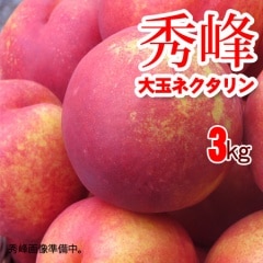 ���� ��̥ͥ������ 3kg 9���ܳ���ͽ��