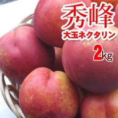 ���� ��̥ͥ������ 2kg 9���ܳ���ͽ��