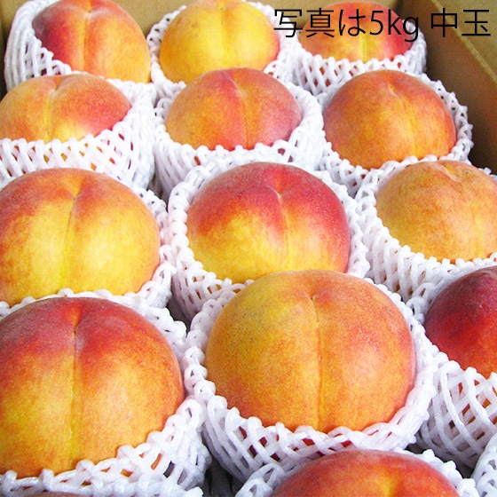 ワッサー」桃とネクタリンの合いの子 5kg 中玉