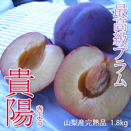 山梨県産。高級プラム「貴陽」正味重量‥約2.8キロ。チルド発送 貴陽 プラム 1.8kg 山梨産 完熟品 太陽の日差しを浴びて甘さ抜群