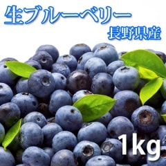 ֥롼٥꡼ 1 Ĺ եå̼¡