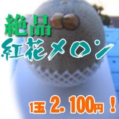 �����ʤΤ��˹�鴶���äפꡪ�Ȳ֥����1��