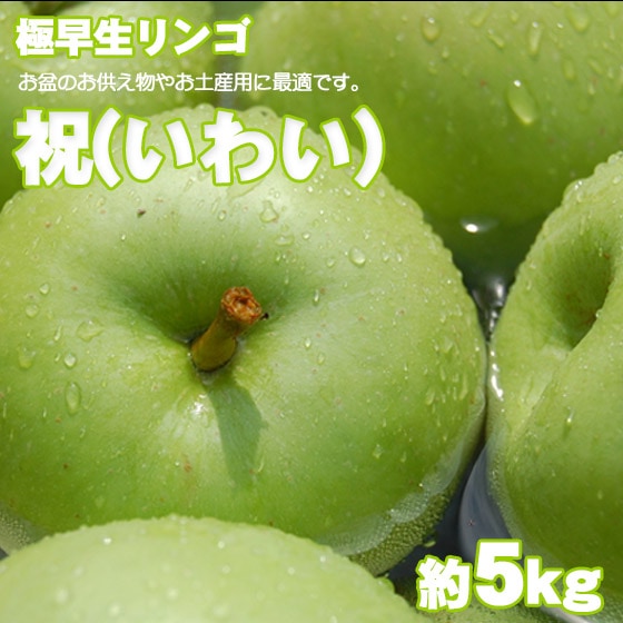 祝りんご (いわい） 極早生品種の青りんご 5kg