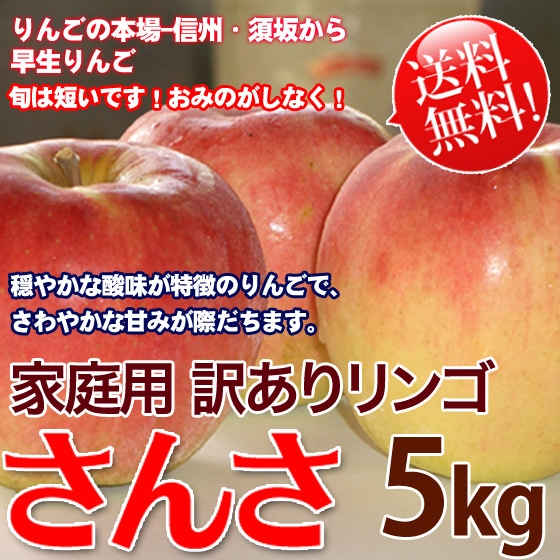 さんさ 5キロ 家庭用 訳あり 送料無料