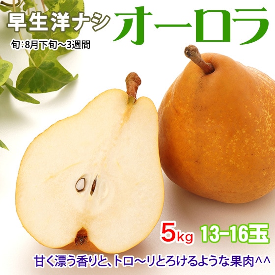 �������� �����Υʥ� 5kg 13��16��