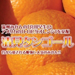 �������󥴡��롡�ߤ��󡡰�ɲ����������4L��2L�����ʡ�(������)