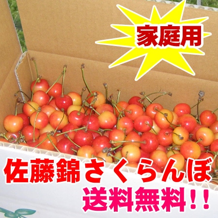 家庭用「佐藤錦」 好評につき追加です！ 送料無料