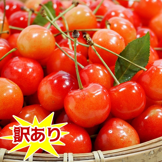 ƣ   1kg Х ʥեߥ꡼ ̵