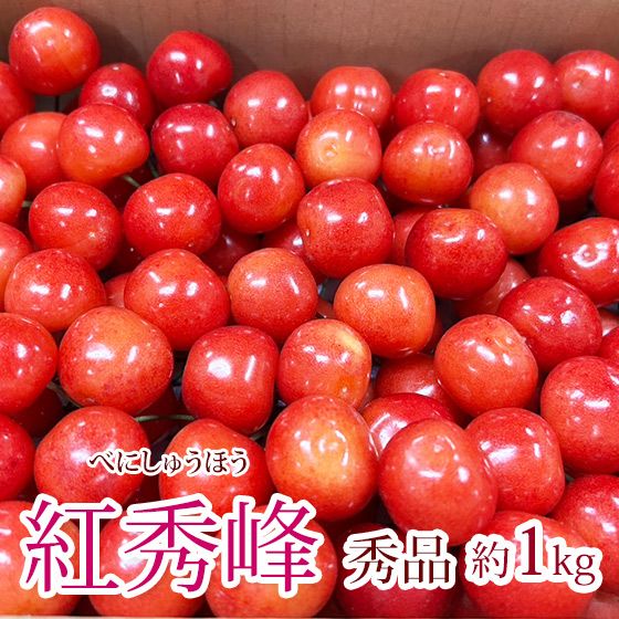 紅秀峰 1kg (2箱)贈答用 厳選さくらんぼ紅秀峰1kgバラ詰2Lサイズ以上(500g×2)