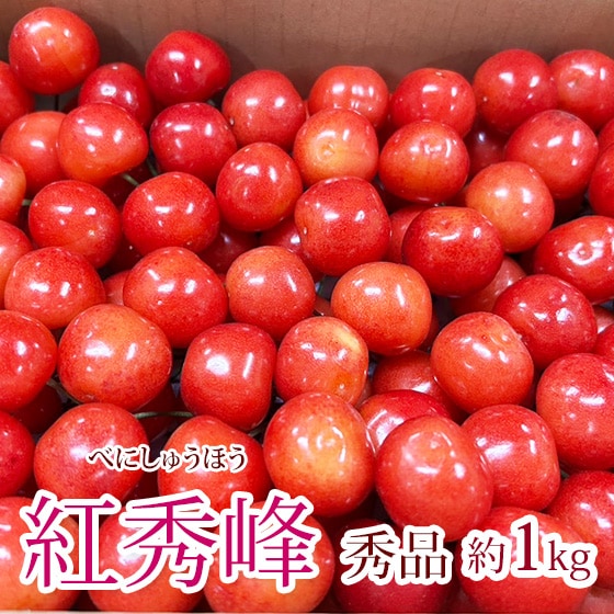 さくらんぼ 紅秀峰 1kg 糖度も高く日持ちがいいです！ くだもの