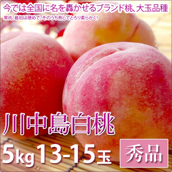 ���������� �� ���渵 �ե롼�� ���� 5kg 13-15������