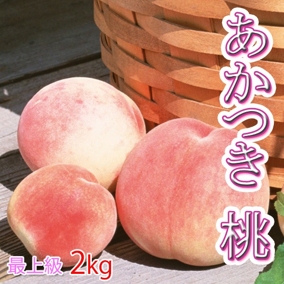 �����Ĥ� �� �Ǿ�����2kg6�� ��˱���������ʼ� ���