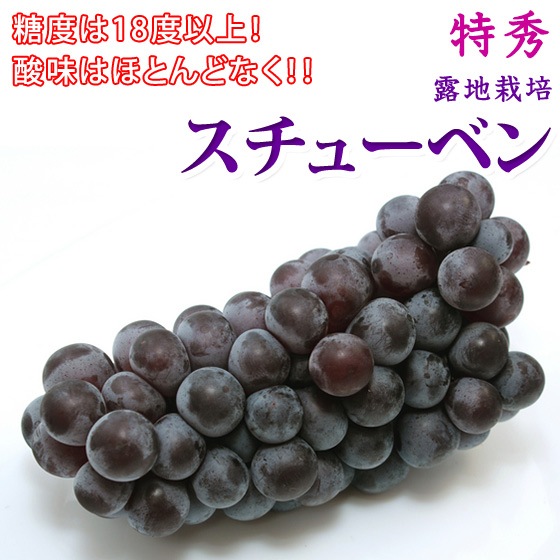 �����塼�٥� �ý� 4kg £���� ���եȤˡ�