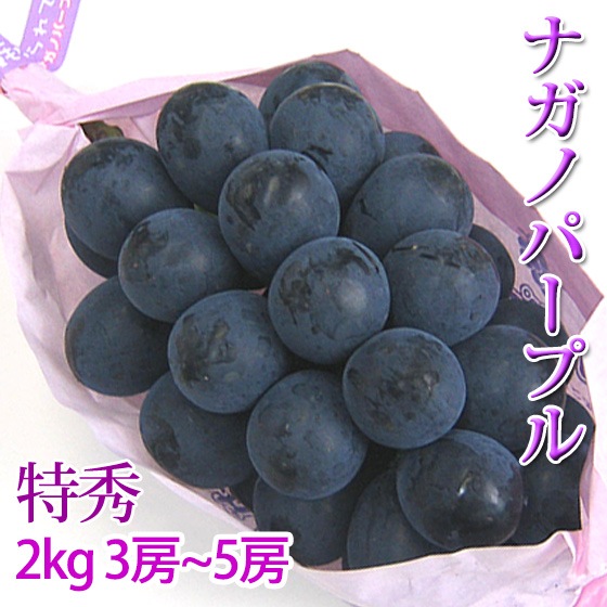 �ʥ��Υѡ��ץ� �ý� 2kg 3��5˼ ��̵���餴�� ǻ���ʤ�̣ ���ե�