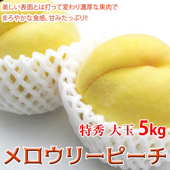 ������꡼�ԡ��� 5kg 11��12�� ��� �ý� ǻ���ǴŤߤ������͵��޾徺�����Ǥ� ���