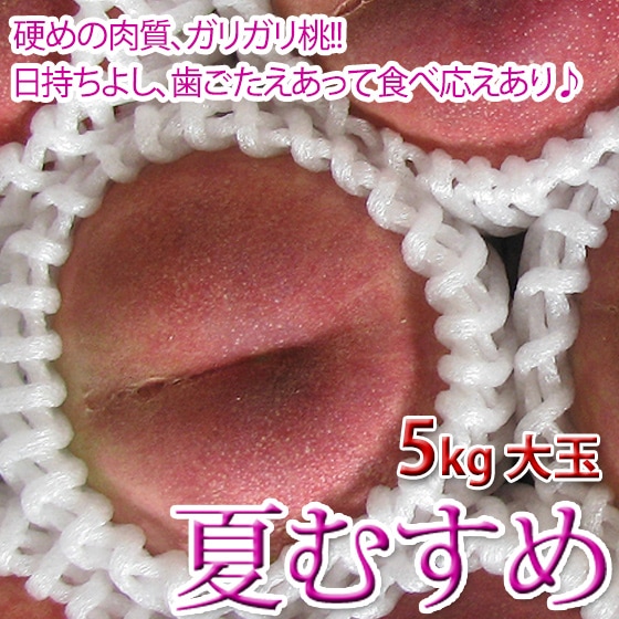 夏むすめ 5kg大玉 ガリガリ桃、硬い桃お好みの方に最適です！ ご贈答にも♪