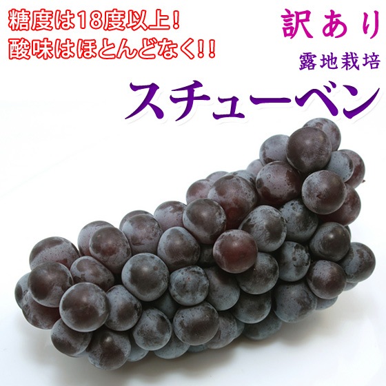 �����塼�٥� ������ 4kg ��������