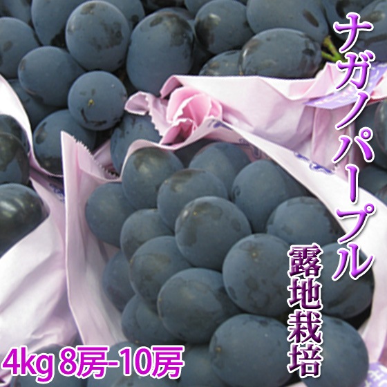 �ʥ��Υѡ��ץ� £���� 4kg 8-10˼ �郎�ʤ�����˭�٤��餴�ȿ��٤��ޤ���