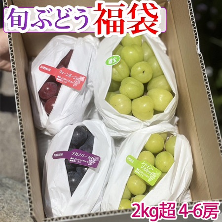 �ܤ֤ɤ� ʡ�� 2kg���å� ŹĹ��������