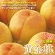 ������ ���渵  5kg ��15�� ������ �ޥ󥴡��Τ褦�ʴŤ���ꡪ