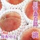 ��������˱ �ý� 5kg 13-16�� ��� �� ���