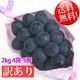 �ʥ��Υѡ��ץ� -���������ӡ��ĥ�Ϥ졦��˼��������-�������� 2kg�ʾ� ����̵��