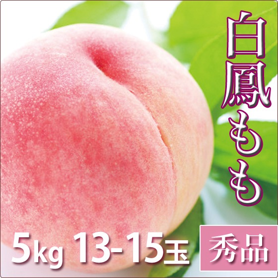 ��˱ �� ���渵 �ե롼�� ���� 5kg 13-15������