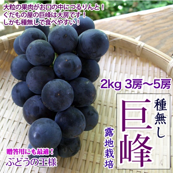 ��̵������ 2kg 4-7˼ ���٤䤹�� ����������֤֤ɤ�