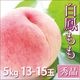 ��˱ �� ���渵 �ե롼�� ���� 5kg 13-15������