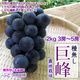 ��̵������ 2kg 4-7˼ ���٤䤹�� ����������֤֤ɤ�