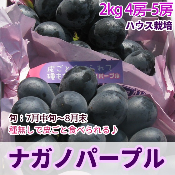 �ʥ��Υѡ��ץ� �ϥ����֤ɤ� 2kg4-5˼ ����̵�� ����ܳ���ͽ��