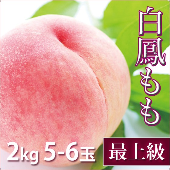 ��˱ �� ���渵 �ե롼�� �Ǿ�� 2kg 5-6������