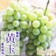 ��̵������ Ϫ�� 1kg2-3˼ ��̵���Ǥ��Τޤ޿��٤���š����֤ɤ�