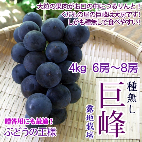 ��̵������ 4kg 7-11˼ ���٤䤹�� ����������֤֤ɤ�