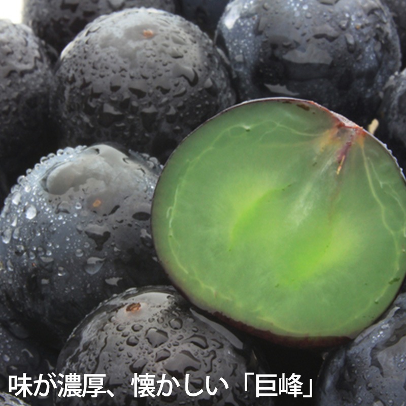 ��̵������ 4kg 7-11˼ ���٤䤹�� ����������֤֤ɤ�