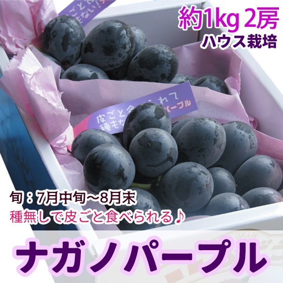 �ʥ��Υѡ��ץ� [�ϥ���]�֤ɤ� ��1kg 2˼ ����̵�� ����ܳ���ͽ��