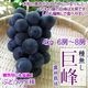 ��̵������ 4kg 7-11˼ ���٤䤹�� ����������֤֤ɤ�