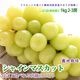 ���㥤��ޥ����å� �����֤ɤ� 1kg 2-3˼ �ޥ����åȹ᤬����䤫