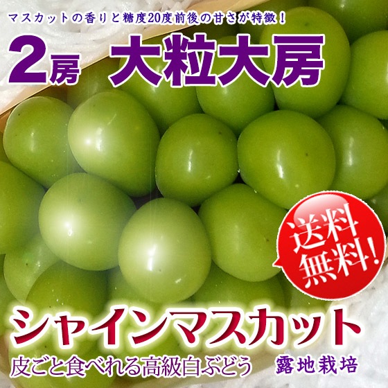 ���㥤��ޥ����å� ���� 2˼��γ��˼��γ 1.4kg  ����̵����