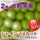 ���㥤��ޥ����å� ���� 2˼��γ��˼��γ 1.4kg  ����̵����