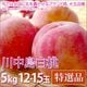 ���������� �� ���渵 �ե롼�� ������ 5kg 12-15������