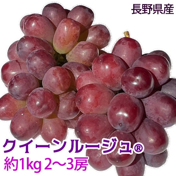 ��������롼����(R) ��1kg 2~3˼ �ý� 2021ǯ����ή�̤ο��ʼ