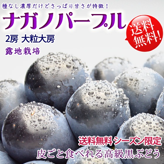 �ʥ��Υѡ��ץ� 2˼ ��γ��˼ 1.5kg�ʾ� ����̵�������̸���