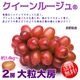 ��������롼����(R)  ��˼��γ 2˼ 1.4kg�����С� �ý� Ω�ɤ�˼��£��ʪ�ˡ� ����̵��