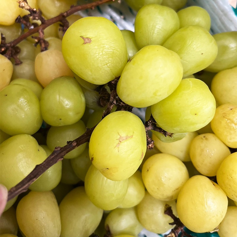 ��ա��ɥ����︺�� ���㥤��ޥ����å� Ķ������ ��������졦æγ�����������ޤ졦����޳�� ����̵��