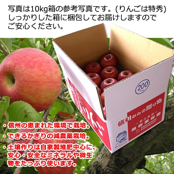 [] դ  10kg 澮̺ ̵ Ǥ󶡤Ǥ