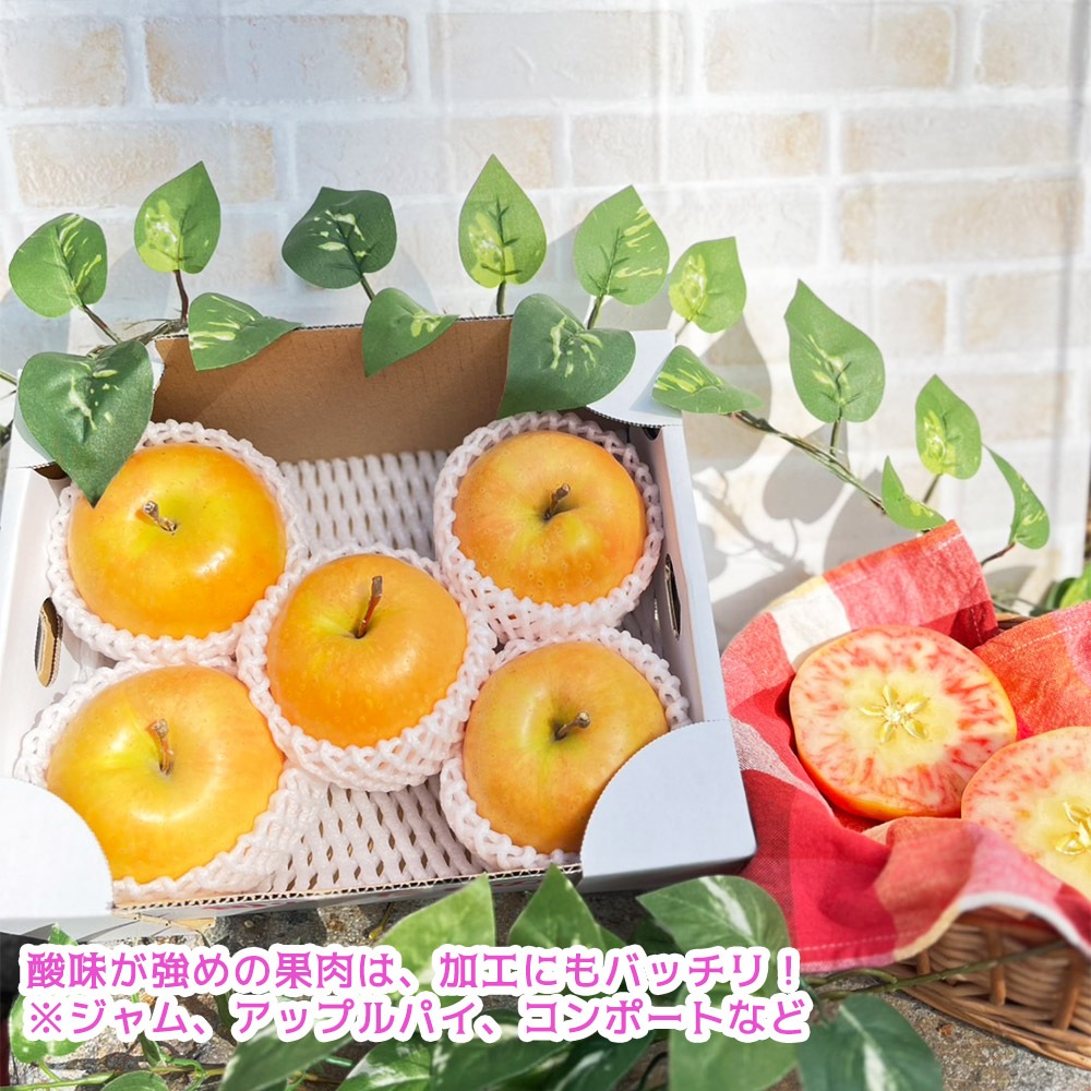 �ʤ��ΤΤ���᤭ 2kg 5-6�� �ԥ󥯿����ӤӤ����襤���̼� Ĺ�� ���